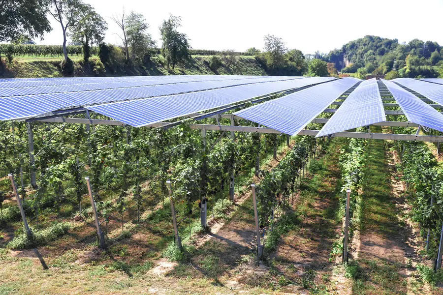 Installation agrivoltaïque - panneaux solaires au-dessus des cultures